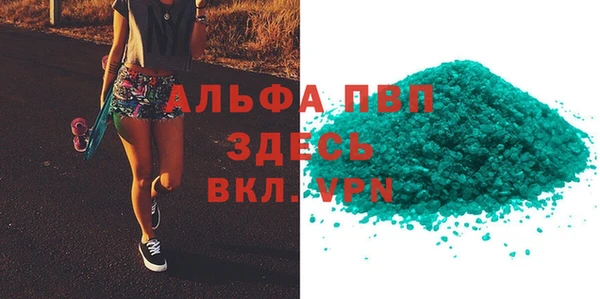 прущие грибы Гусь-Хрустальный