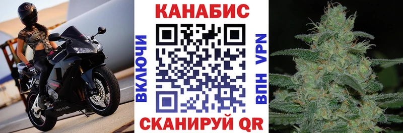 Конопля Bruce Banner  Калининград 